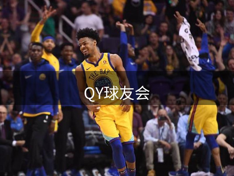 公司历程